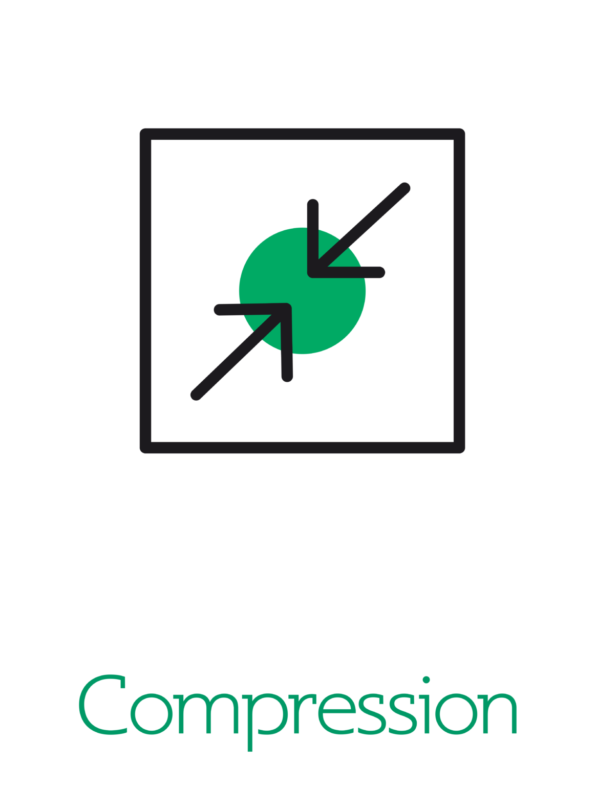 Intelligent Gasket - Compass Photonics